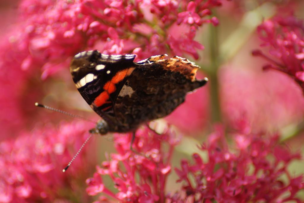 Melbourne Place Wolsingham Buitenkant foto